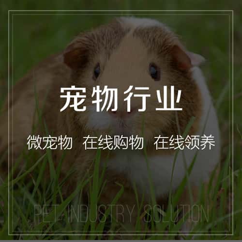 汉中宠物
