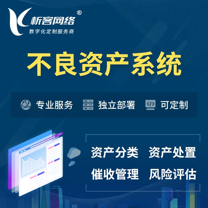 汉中不良资产管理系统